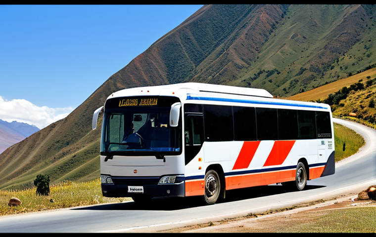 bolivian - 이미지 1